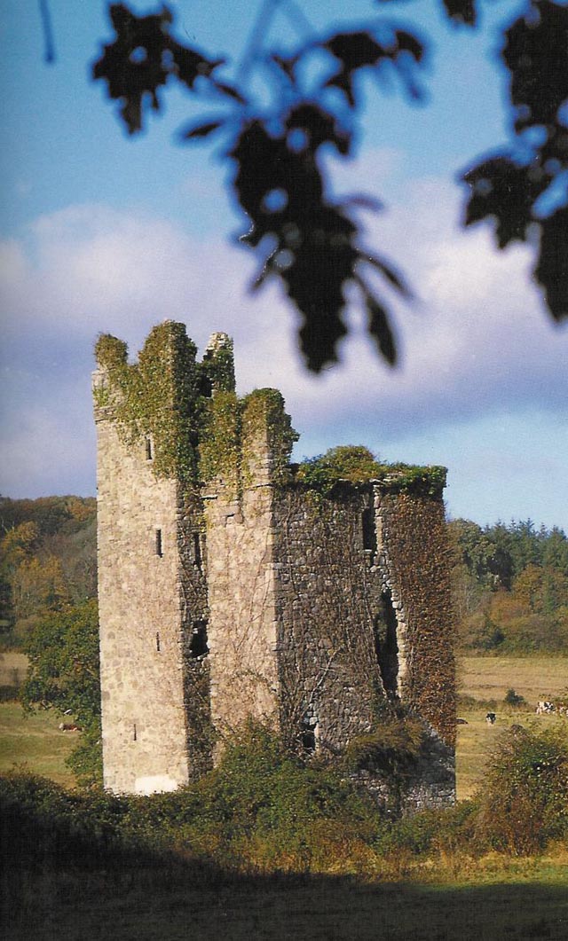 Dysart Castle tower-house detail